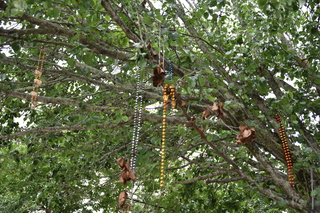 Filename=DSC_3476.JPG
Filesize=21843KiB
Dimensions=7360x4912
Date added=May 04, 2021 DSC_3476.JPG