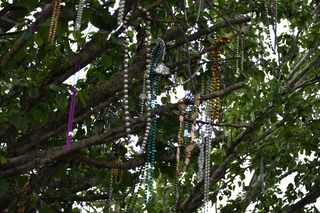 Filename=DSC_3477.JPG
Filesize=17773KiB
Dimensions=7360x4912
Date added=May 04, 2021 DSC_3477.JPG