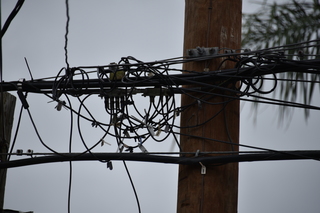 Filename=DSC_3485.JPG
Filesize=14547KiB
Dimensions=7360x4912
Date added=May 04, 2021 DSC_3485.JPG