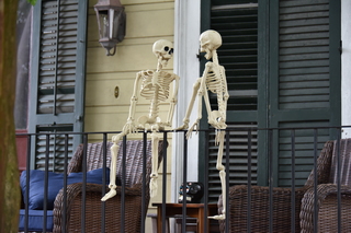 Filename=DSC_3488.JPG
Filesize=16427KiB
Dimensions=7360x4912
Date added=May 04, 2021 DSC_3488.JPG