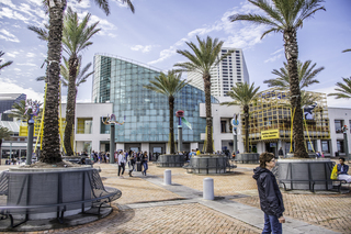 Filename=DSC_8170.jpg
Filesize=27197KiB
Dimensions=7360x4912
Date added=Sep 24, 2019 DSC_8170.jpg