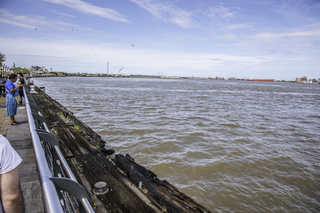 Filename=DSC_8172.jpg
Filesize=22444KiB
Dimensions=7360x4912
Date added=Sep 24, 2019 DSC_8172.jpg