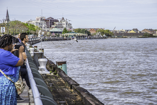 Filename=DSC_8174.jpg
Filesize=21516KiB
Dimensions=7360x4912
Date added=Sep 24, 2019 DSC_8174.jpg