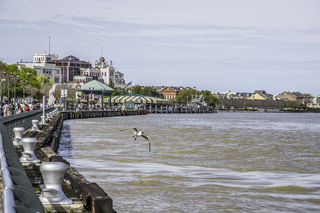 Filename=DSC_8175.jpg
Filesize=20353KiB
Dimensions=7360x4912
Date added=Sep 24, 2019 DSC_8175.jpg