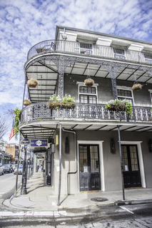 Filename=DSC_8189.jpg
Filesize=23246KiB
Dimensions=4912x7360
Date added=Sep 24, 2019 DSC_8189.jpg