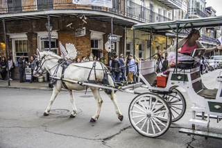 Filename=DSC_8223.jpg
Filesize=23354KiB
Dimensions=7360x4912
Date added=Sep 24, 2019 DSC_8223.jpg