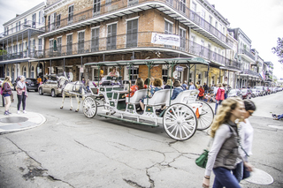 Filename=DSC_8224.jpg
Filesize=24269KiB
Dimensions=7360x4912
Date added=Sep 24, 2019 DSC_8224.jpg