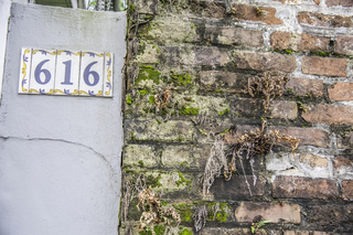 Filename=DSC_8225.jpg
Filesize=34599KiB
Dimensions=7360x4912
Date added=Sep 24, 2019 DSC_8225.jpg