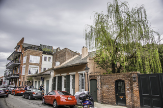 Filename=DSC_8226.jpg
Filesize=27884KiB
Dimensions=7360x4912
Date added=Sep 24, 2019 DSC_8226.jpg