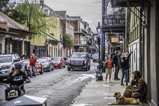 Filename=DSC_8232.jpg
Filesize=26891KiB
Dimensions=7360x4912
Date added=Sep 24, 2019 DSC_8232.jpg