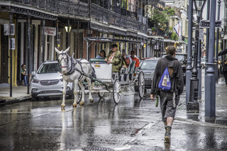 Filename=DSC_8238.jpg
Filesize=30231KiB
Dimensions=7360x4912
Date added=Sep 24, 2019 DSC_8238.jpg