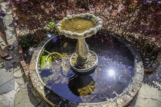 Filename=DSC_8242.jpg
Filesize=30817KiB
Dimensions=7360x4912
Date added=Sep 24, 2019 DSC_8242.jpg