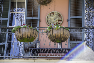 Filename=DSC_8246.jpg
Filesize=24539KiB
Dimensions=7360x4912
Date added=Sep 24, 2019 DSC_8246.jpg