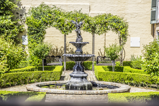 Filename=DSC_8258.jpg
Filesize=35973KiB
Dimensions=7360x4912
Date added=Sep 24, 2019 DSC_8258.jpg