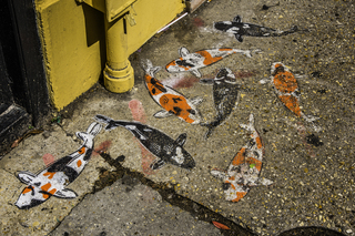 Filename=DSC_8263.jpg
Filesize=37682KiB
Dimensions=7360x4912
Date added=Sep 24, 2019 DSC_8263.jpg