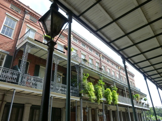 Filename=P1060331.JPG
Filesize=5811KiB
Dimensions=4320x3240
Date added=Sep 24, 2019 P1060331.JPG