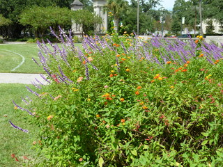 Filename=P1060347.JPG
Filesize=5567KiB
Dimensions=4320x3240
Date added=Sep 24, 2019 P1060347.JPG