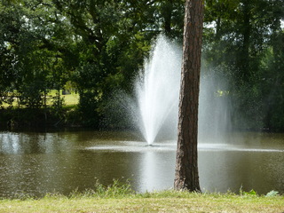 Filename=P1060351.JPG
Filesize=5658KiB
Dimensions=4320x3240
Date added=Sep 24, 2019 P1060351.JPG