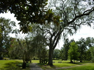 Filename=P1060352.JPG
Filesize=5703KiB
Dimensions=4320x3240
Date added=Sep 24, 2019 P1060352.JPG