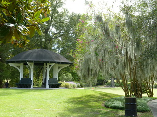 Filename=P1060353.JPG
Filesize=5634KiB
Dimensions=4320x3240
Date added=Sep 24, 2019 P1060353.JPG