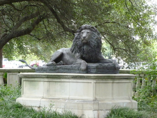 Filename=P1060355.JPG
Filesize=5865KiB
Dimensions=4320x3240
Date added=Sep 24, 2019 P1060355.JPG