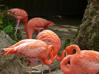 Filename=P1060360.JPG
Filesize=5817KiB
Dimensions=4320x3240
Date added=Sep 24, 2019 P1060360.JPG