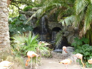 Filename=P1060362.JPG
Filesize=6019KiB
Dimensions=4320x3240
Date added=Sep 24, 2019 P1060362.JPG