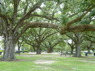 Filename=P1060370.JPG
Filesize=5672KiB
Dimensions=4320x3240
Date added=Sep 24, 2019 P1060370.JPG