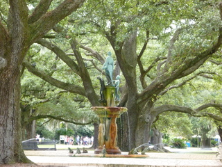 Filename=P1060371.JPG
Filesize=6079KiB
Dimensions=4320x3240
Date added=Sep 24, 2019 P1060371.JPG