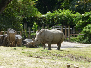 Filename=P1060382.JPG
Filesize=6016KiB
Dimensions=4320x3240
Date added=Sep 24, 2019 P1060382.JPG