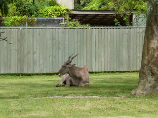 Filename=P1060386.JPG
Filesize=5797KiB
Dimensions=4320x3240
Date added=Sep 24, 2019 P1060386.JPG