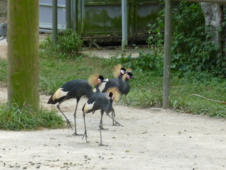 Filename=P1060403.JPG
Filesize=5730KiB
Dimensions=4320x3240
Date added=Sep 24, 2019 P1060403.JPG