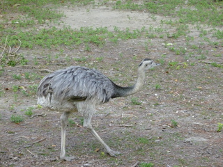 Filename=P1060419.JPG
Filesize=5813KiB
Dimensions=4320x3240
Date added=Sep 24, 2019 P1060419.JPG