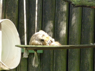 Filename=P1060431.JPG
Filesize=5582KiB
Dimensions=4320x3240
Date added=Sep 24, 2019 P1060431.JPG