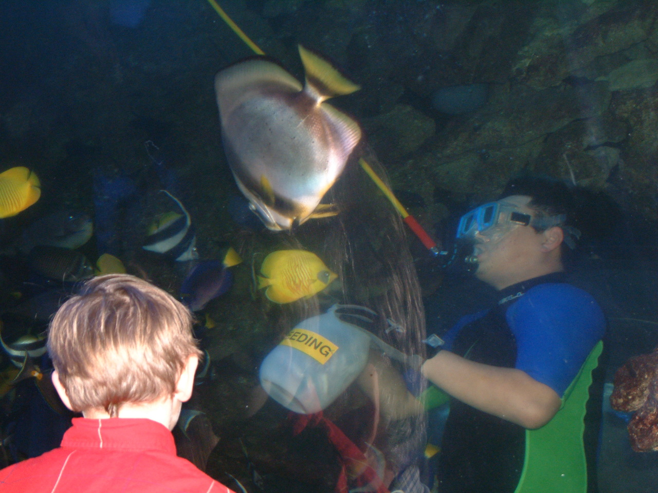 Dallas_World_Aquarium_6-22-01_049.jpg
