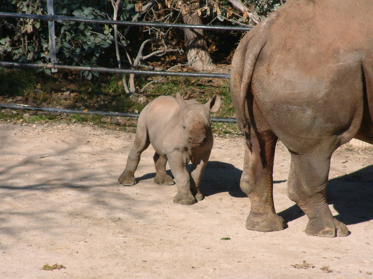 Ft_Worth_Zoo1_12-23-01_015.jpg