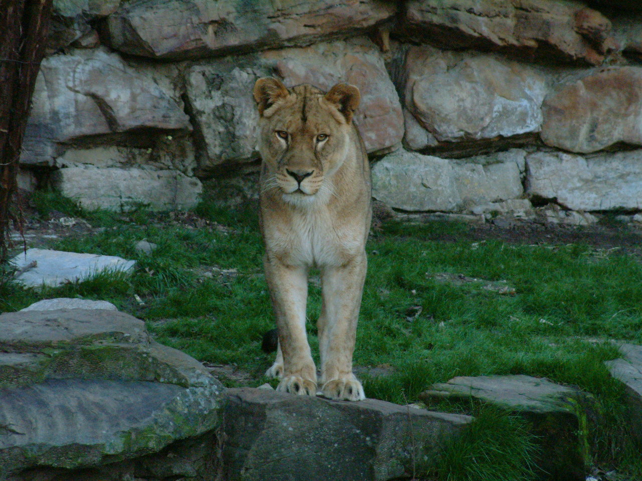 Ft_Worth_Zoo1_12-23-01_071.jpg