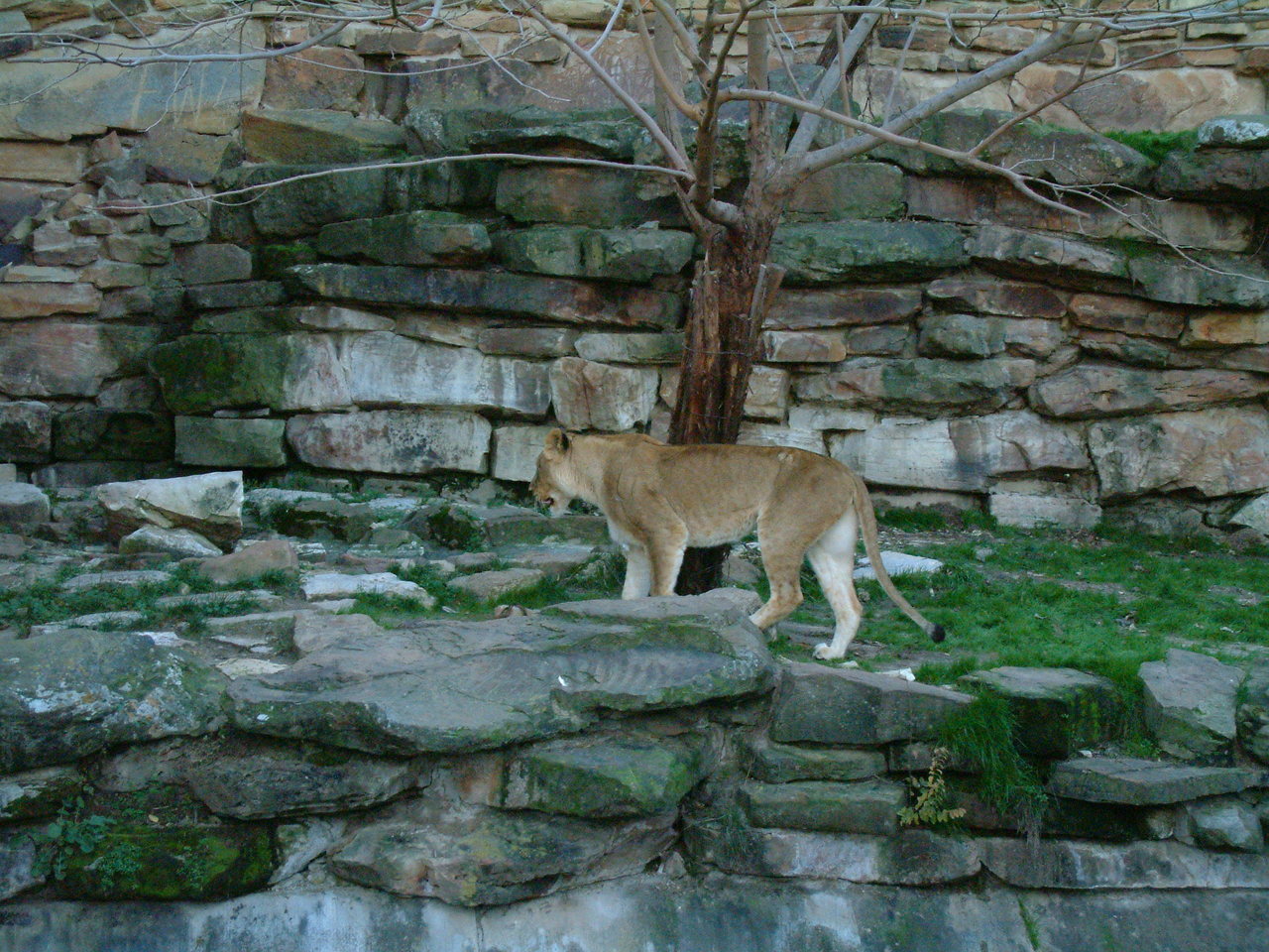 Ft_Worth_Zoo1_12-23-01_072.jpg