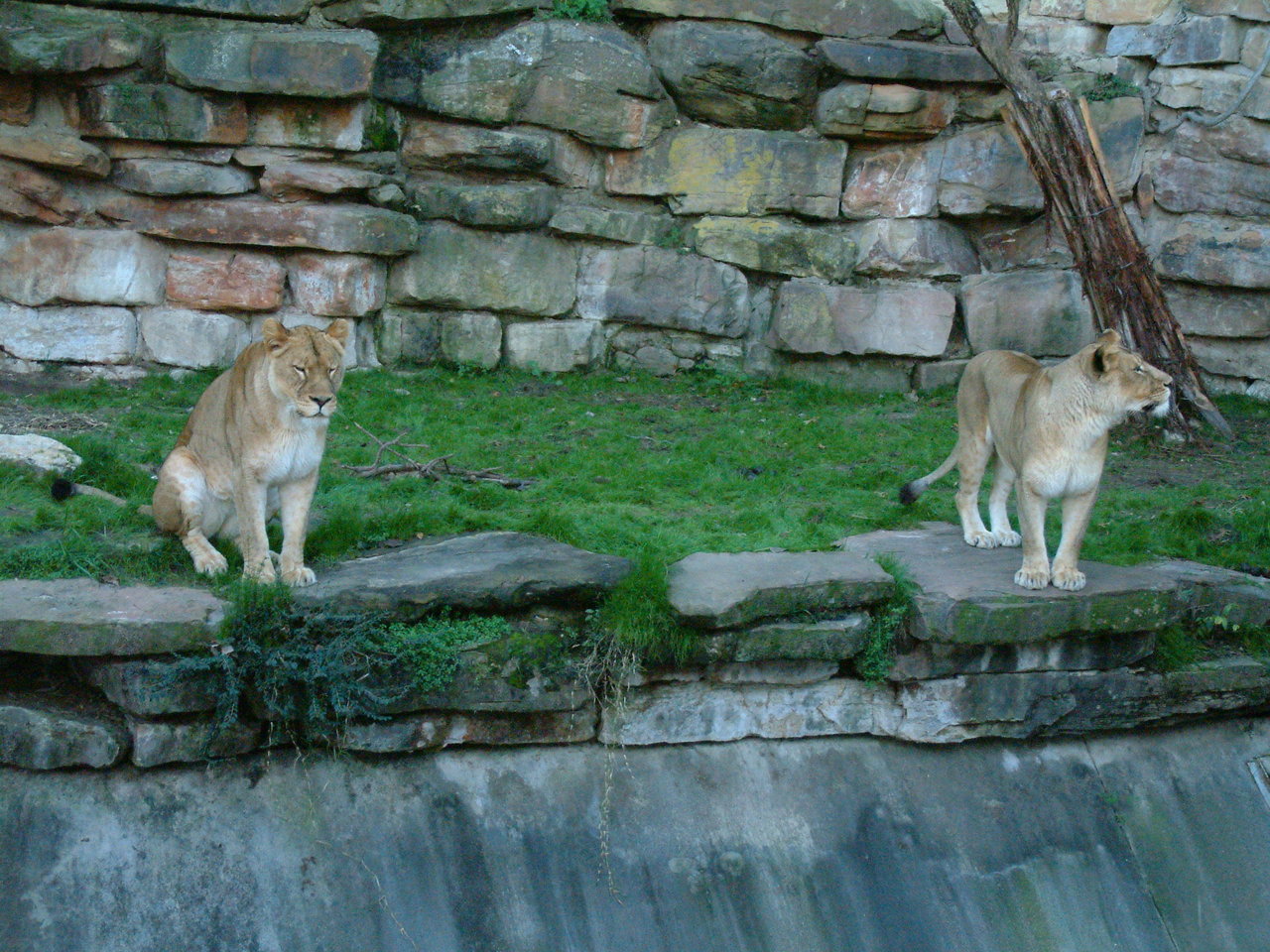 Ft_Worth_Zoo1_12-23-01_077.jpg