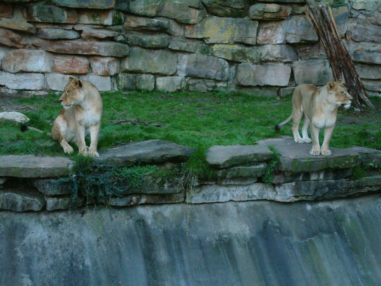 Ft_Worth_Zoo1_12-23-01_078.jpg