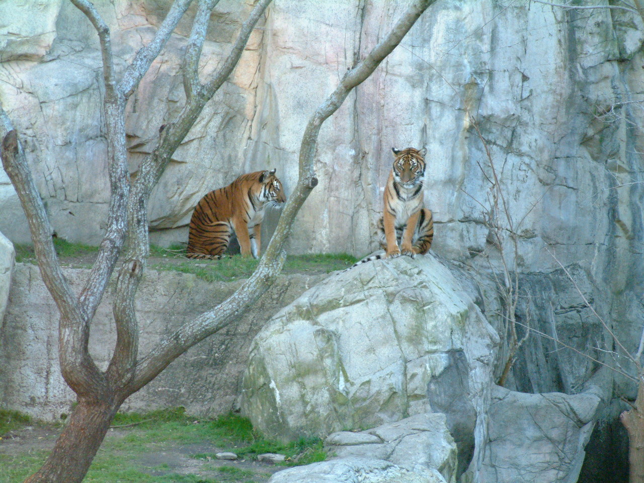 Ft_Worth_Zoo1_12-23-01_088.jpg