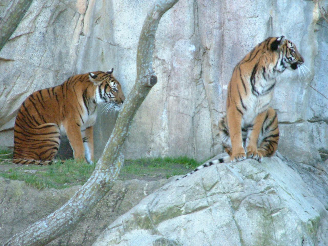 Ft_Worth_Zoo1_12-23-01_089.jpg