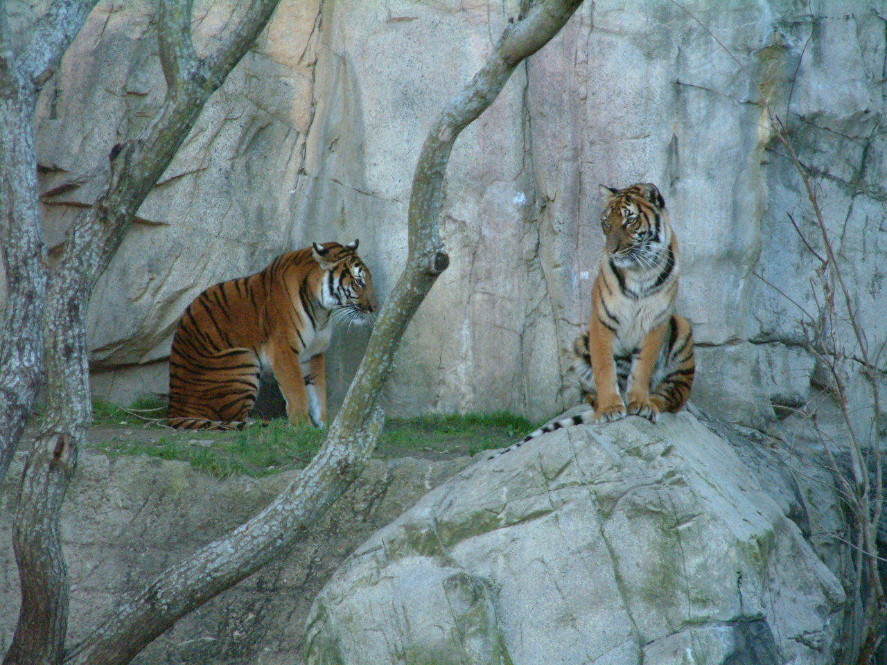 Ft_Worth_Zoo1_12-23-01_090.jpg