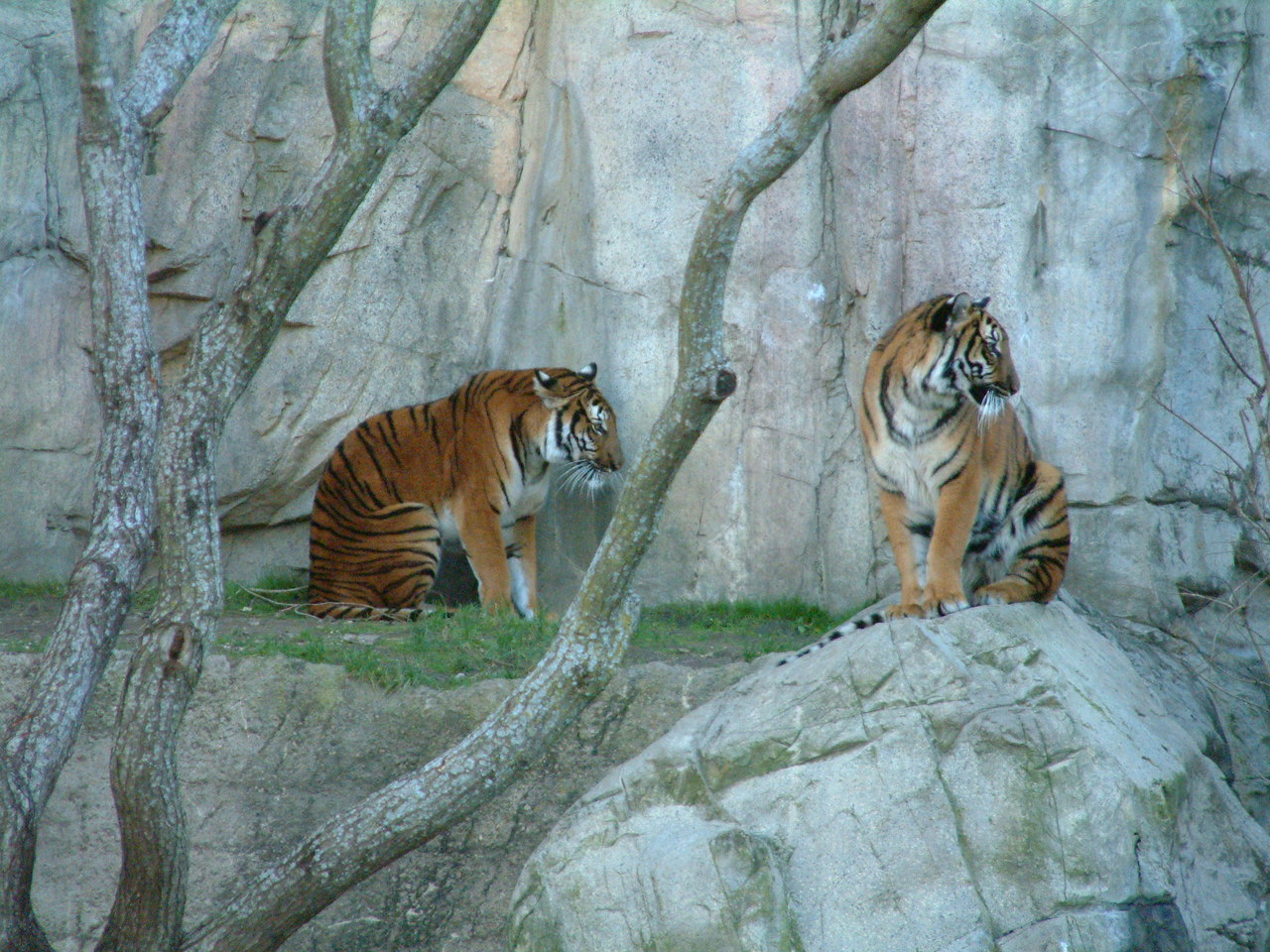 Ft_Worth_Zoo1_12-23-01_092.jpg