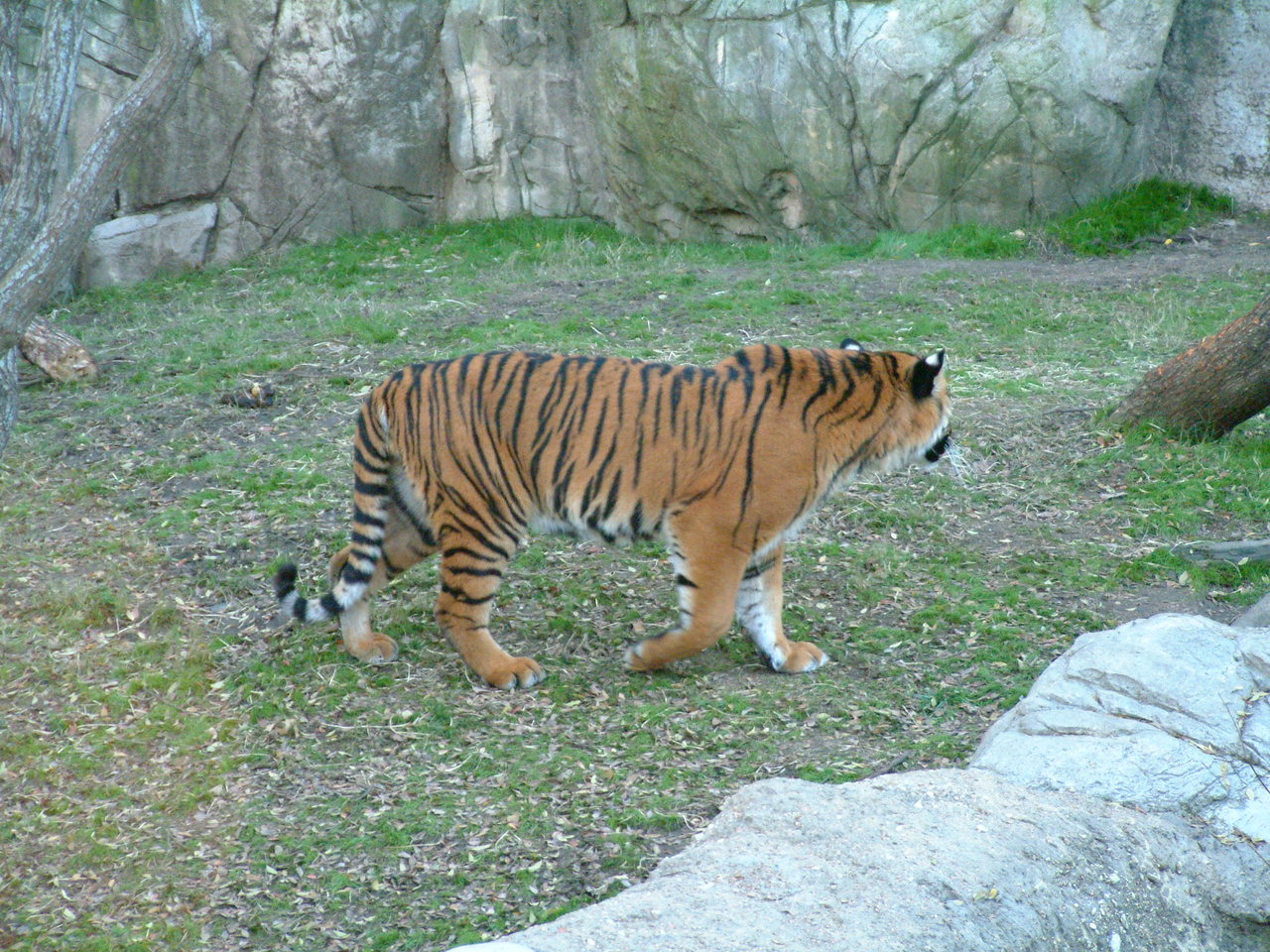Ft_Worth_Zoo1_12-23-01_094.jpg