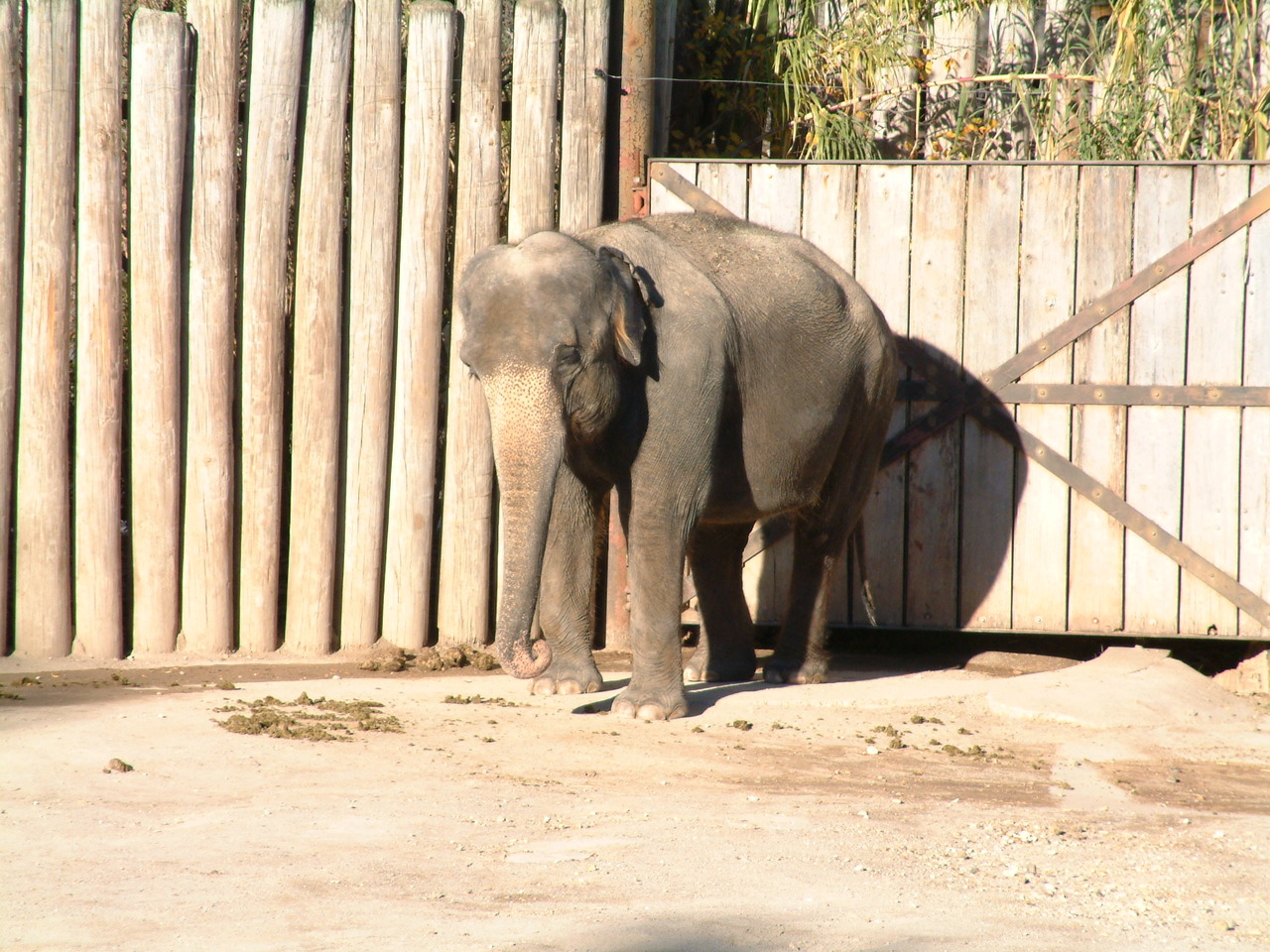 Ft_Worth_Zoo1_12-23-01_099.jpg