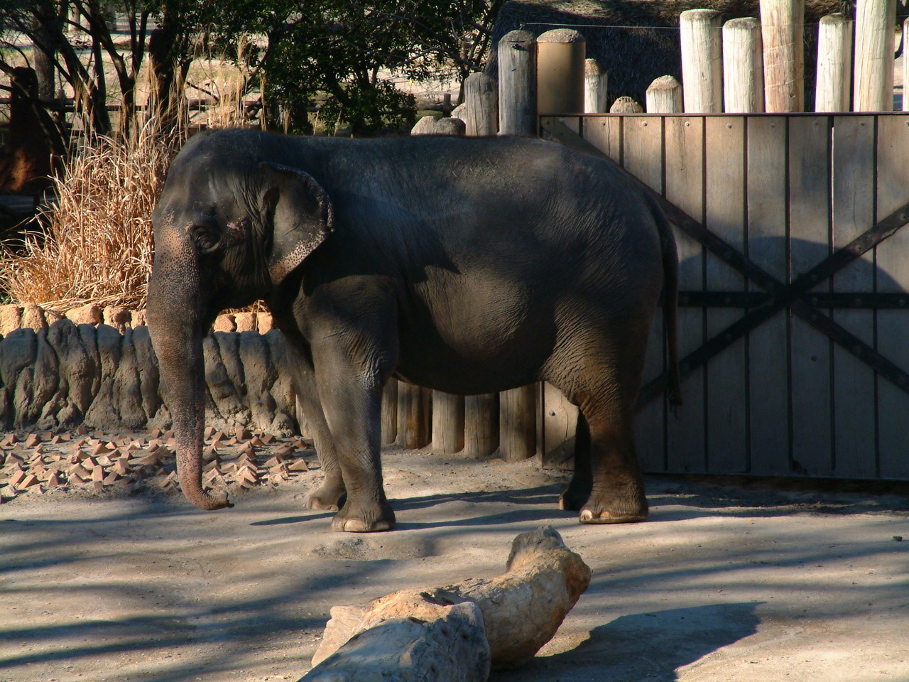 Ft_Worth_Zoo1_12-23-01_100.jpg