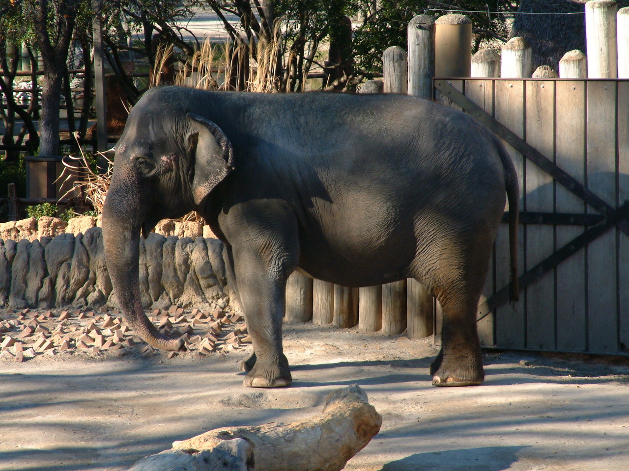 Ft_Worth_Zoo1_12-23-01_102.jpg