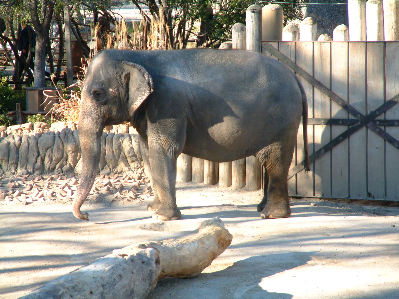 Ft_Worth_Zoo2_12-23-01_001.jpg