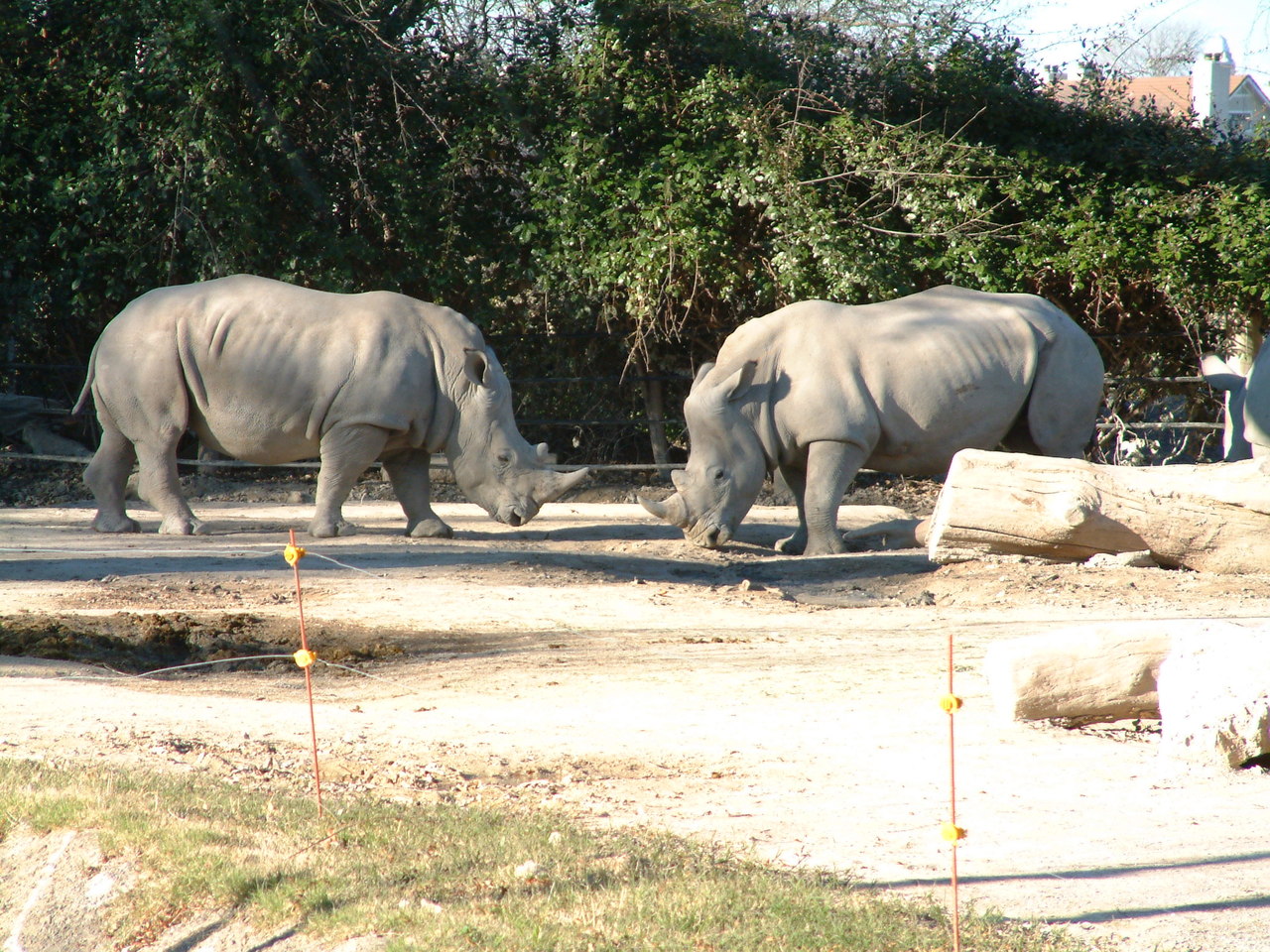 Ft_Worth_Zoo2_12-23-01_009.jpg